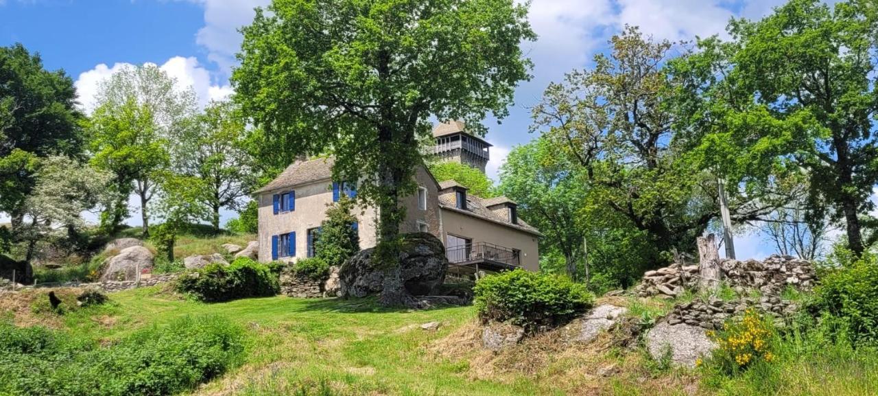 Gite A La Tour De Peyrebrune Alrance Exterior photo